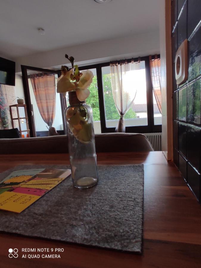 Apartment Panorama شفاينفورت المظهر الخارجي الصورة